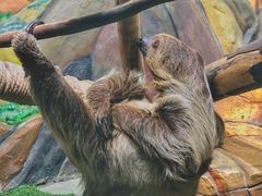 -华夏文旅海洋公园