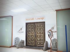 -班达拉奈克国际机场