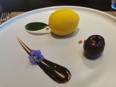 法式香柠果配南山樱桃-泉客厅Spring Pavilion(303M空中会客厅)