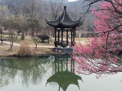 -石塘人家