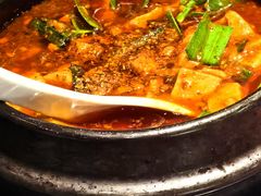 -陈麻婆豆腐总店