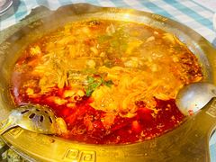 -重庆火锅水库鱼庄(南油店)