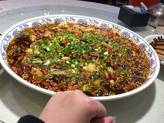 来凤鱼-新概念来凤鱼(璧山店)
