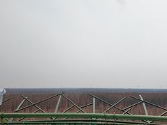 -黄海国家森林公园