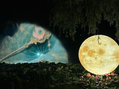 -北陵公园
