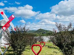 -大连铭湖国际观光牧场