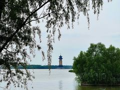 -溱湖国家湿地公园