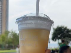 -SAANCI山池咖啡(海上世界文化艺术中心店)