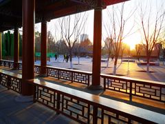 -莲花池公园