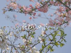 -钱塘江