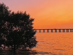 -宝安西湾红树林湿地公园