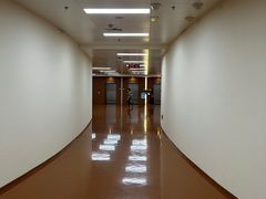 -上海市东方医院(总院)