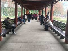 -重庆彩云湖湿地公园