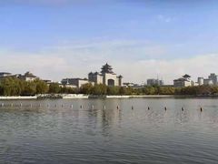 -莲花池公园