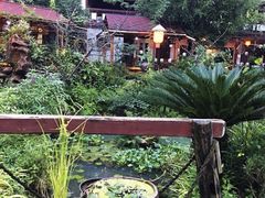 -青城甲(青城山店)