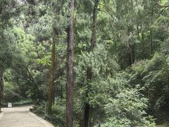 -雁荡山风景名胜区