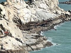 -莆田湄洲妈祖祖庙