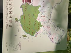 -中国茶叶博物馆(双峰馆区)
