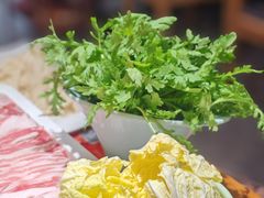 -曲氏老北京铜锅涮肉•火锅(不老街店)