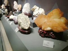 -湖南省地质博物馆