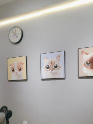 -洗脸猫·洗脸吧