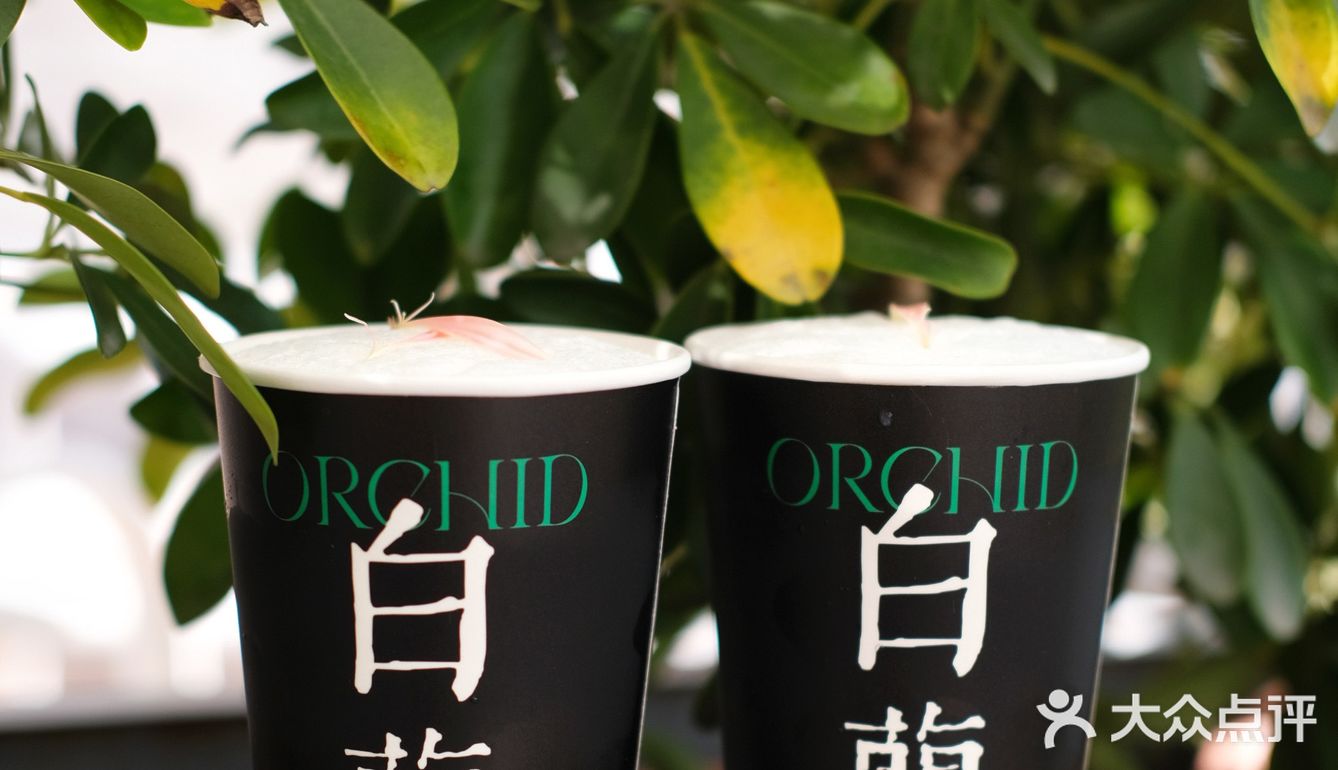 茉莉奶白新品白兰与苍兰诀|我都爱了