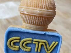 -中央广播电视总台(光华路办公区)