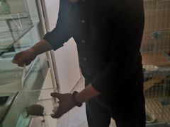 -灵龟之家百象馆(百象馆联合旗舰店)