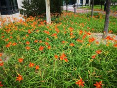 -北京国家会计学院
