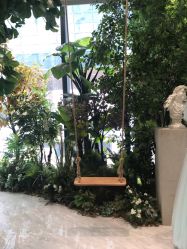 -MuseMarry婚纱(前海嘉里中心店)