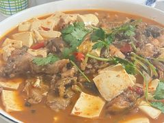 -煲来饱去冷水鱼