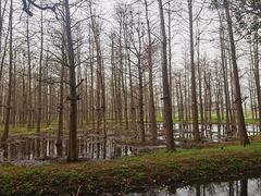 -广富林郊野公园