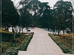 -南山植物园