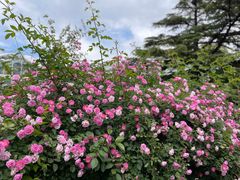 -国家植物园南园