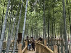 -陶祖圣境风景区