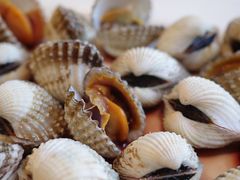 血蛤-华盛丰温州大排档(东三环南路店)