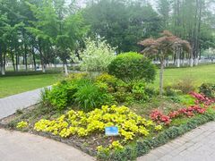 -西北湖绿化广场