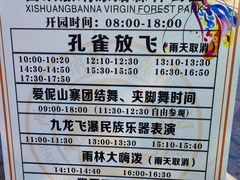 -西双版纳原始森林公园