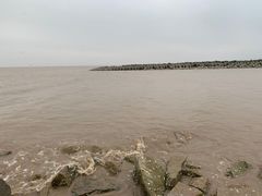 -南汇嘴观海公园