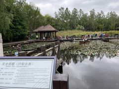 -溱湖国家湿地公园