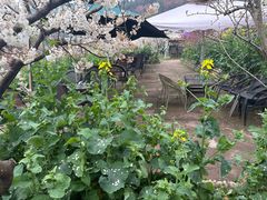 -桃源山庄·水蜜桃采摘·柴火鸡·烧烤团建(龙泉山店)