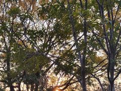 -艾溪湖湿地公园