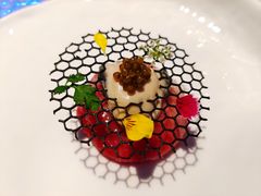 蓝鳍金枪鱼腩，生蚝，鱼子酱-九献·创意菜(亮马河饭店)
