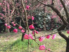 -黄公望隐居地