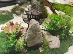 -曼格纳·曼芯馆(杨浦店)