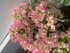 -西山人家·二十年老字号农家菜(旺山店)