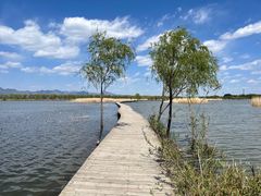 -野鸭湖国家湿地公园