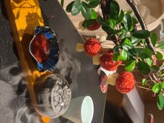 -唐猫庭院·千年陕菜(赛格国际购物中心店)