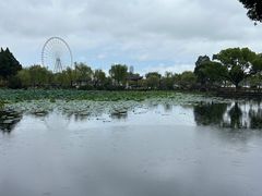 -无锡蠡湖国家湿地公园-蠡园