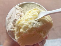 开心果味冰激凌-VENCHI 闻绮(上海佛罗伦萨小镇店)